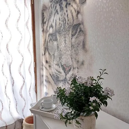 Sweet & Wellness Bed & Breakfast Nettuno