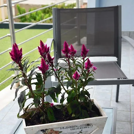 Sweet & Wellness Bed & Breakfast Nettuno